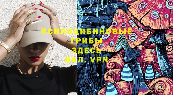 кокаин Белокуриха