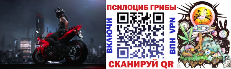это как зайти  Костомукша  Галлюциногенные грибы прущие грибы  как найти закладки 